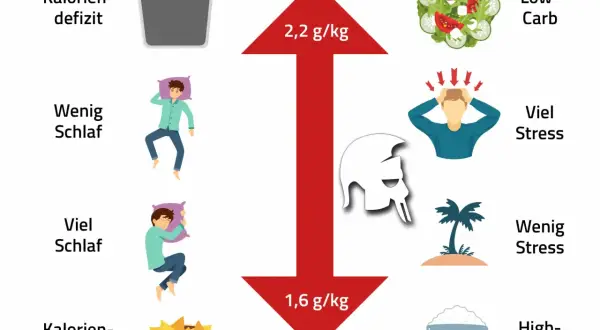 Muskelaufbau: Ihr Fahrplan für Training, Ernährung & Erfolg