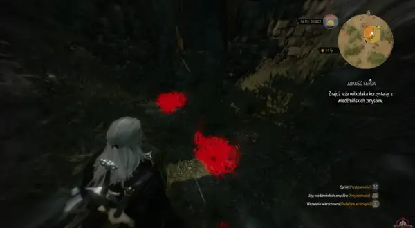 Geralt szuka śladów wilkołaka, używając wiedźmińskich zmysłów. Czerwone plamy na ziemi wskazują trop w "Dzikość serca".