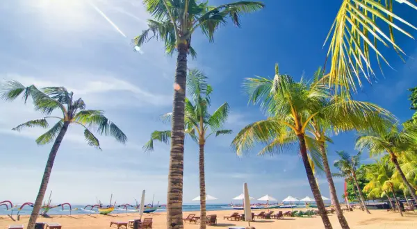 Solig strand i Sanur, Bali, med palmer, solstolar och traditionella balinesiska båtar.
