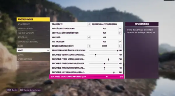 Einstellungen für die Forza Horizon 5 Grafik: Blickfeld-Optionen für verschiedene Kameras.