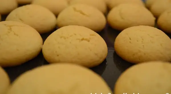 Des boules de coco dorées, prêtes à être dégustées. Ces petits gâteaux moelleux invitent à la gourmandise.