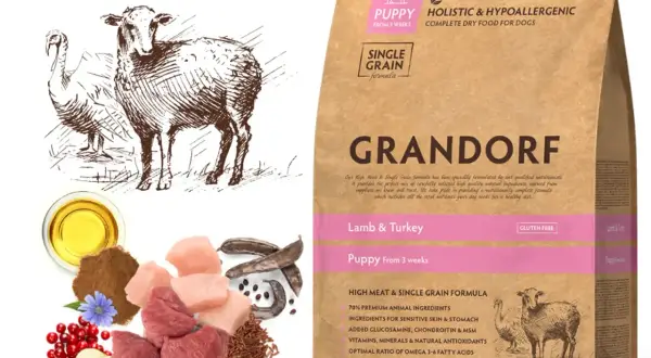 Karma dla szczeniaka pomeraniana: wybierz idealną dietę dla Boo!