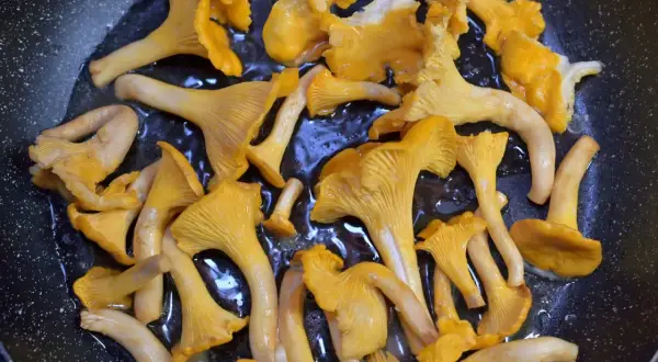 Setas de rebozuelo doradas y jugosas se cocinan en una sartén, listas para ser parte de un delicioso plato, como un champignon de Paris.