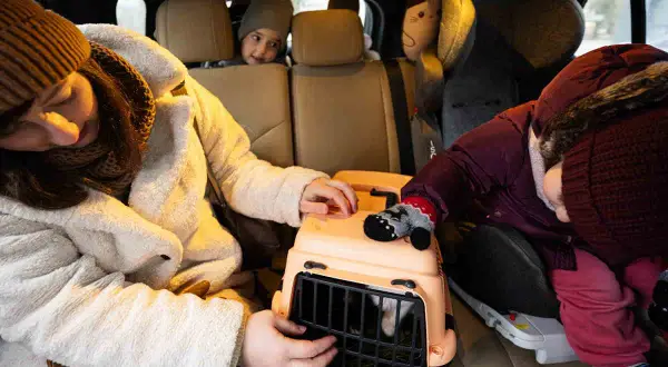 Transporter dla szczura: Jak wybrać bezpieczny i komfortowy?