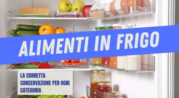 Frigorifero pieno di ortofrutticoli, uova e formaggio. Scopri a quale temperatura vanno conservati i prodotti ortofrutticoli per mantenerli freschi.