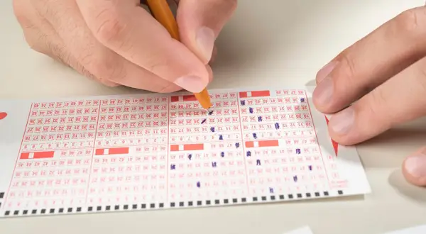 Ręka zaznacza liczby na kuponie lotto, zastanawiając się, ile do wygrania w mini lotto.