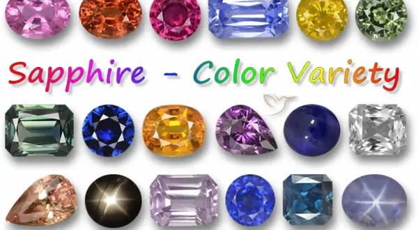 Variedad de colores de zafiro, incluyendo un zafiro estrella y gemas de tonos rosados, naranjas, morados, azules, amarillos, verdes y blancos.