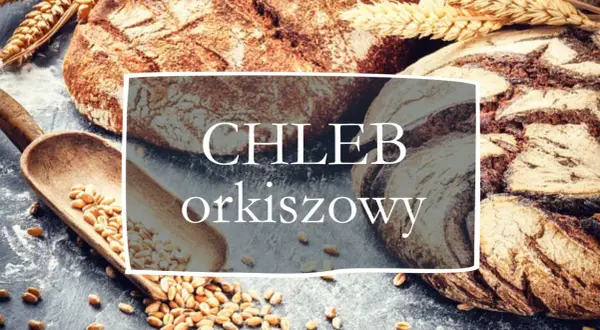 Chleb orkiszowy, choć zawiera gluten, jest smaczną alternatywą dla tradycyjnego pieczywa. Na zdjęciu widać bochenki orkiszowe, ziarna i kłosy.