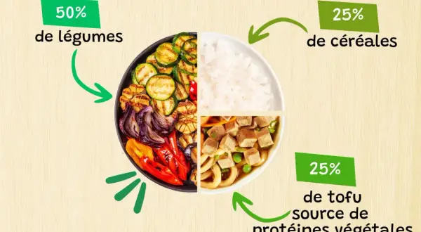 Un bol divisé en quatre : légumes grillés, riz, et tofu, une excellente source de protéines végétales.