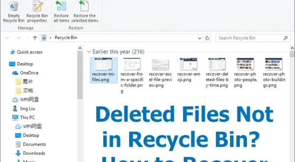 Gdzie jest kosz w iPhone? Ten ekran pokazuje folder Kosz w systemie Windows, a nie na iPhonie.