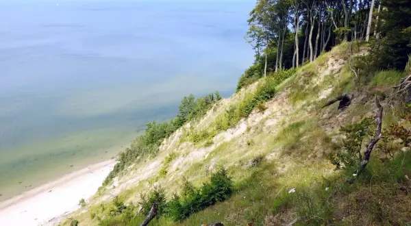 Wysoka trasa wzdłuż klifu z widokiem na spokojne morze i piaszczystą plażę. Drzewa tworzą zieloną koronę nad zboczem.