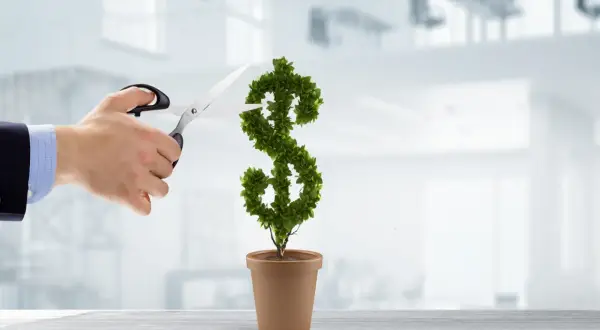 Mano con tijeras podando un árbol en forma de dólar. Una metáfora para montar negocio con poco dinero y hacerlo crecer.