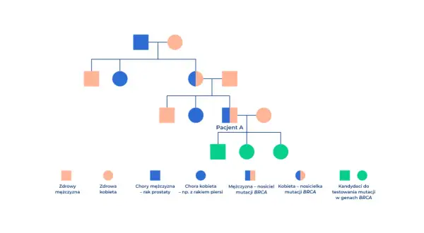 Drzewo genealogiczne pokazuje, czy rak prostaty jest dziedziczny. Widać tu osoby chore i nosicieli mutacji BRCA.