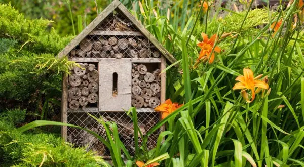 Ett insektshotell i trä, fyllt med träbitar och bamburör, står i en lummig trädgård bland gröna blad och orange liljor. En perfekt insektshotell placering för att locka pollinerare.