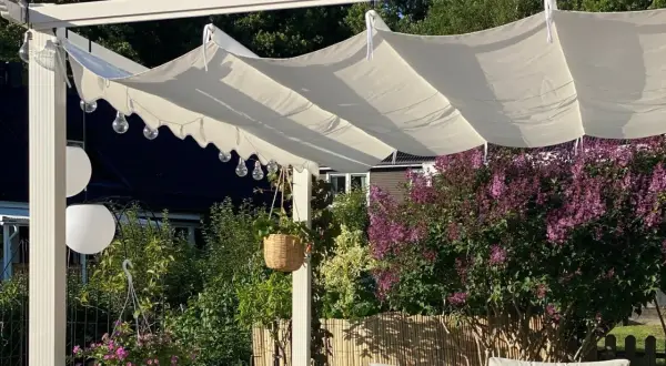 En vit kaprifol pergola med hängande ljusslingor och en frodig syrénbuske i bakgrunden.