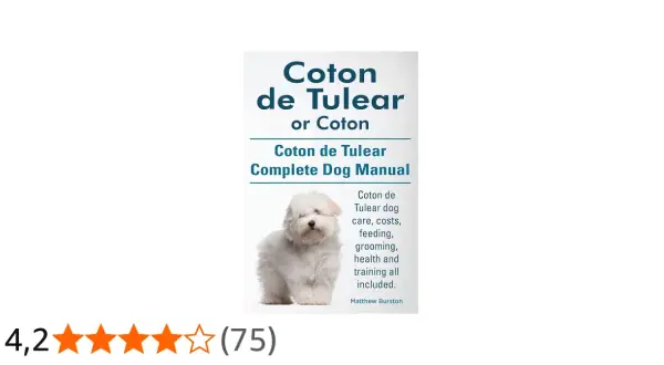 Adorable coton de tulear blanco posa para el manual completo de esta raza.