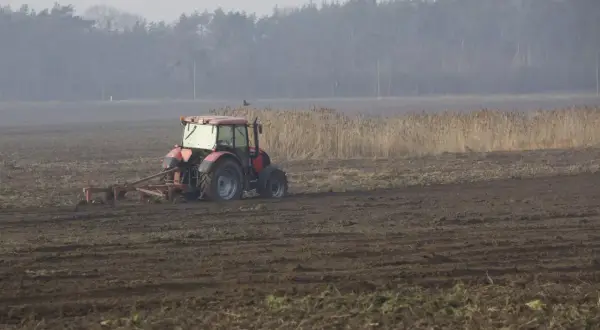 Czerwony traktor wykonuje wałowanie na zaoranym polu. W tle las i trzciny.