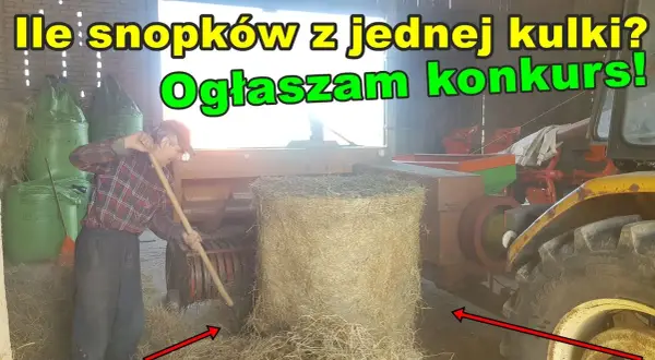 Ile kostek siana jest w balocie? Zaskakujące fakty i różnice