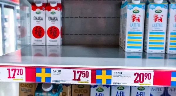 Hylla med mjölkprodukter. Arla Lättfil och Arla Kefir, både naturell och blåbär. Jämförelse mellan filmjölk vs kefir.