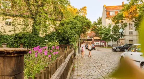 Zwei Frauen spazieren mit Hund über Kopfsteinpflaster in Rixdorf, Berlin. Bunte Blumen und üppiges Grün säumen den Weg.