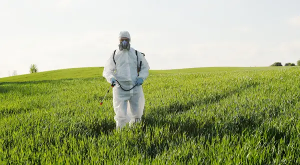 Rolnik w kombinezonie ochronnym i masce przeprowadza fumigację na zielonym polu.