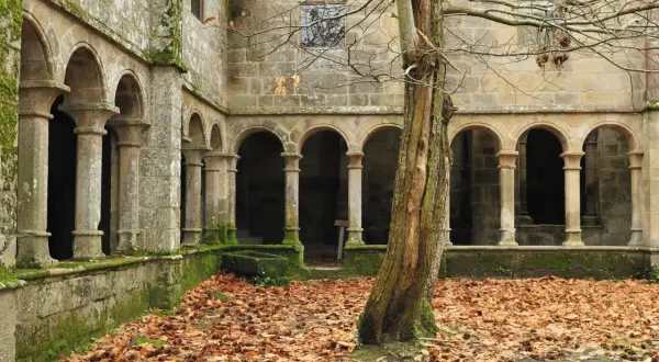 Claustro de piedra cubierto de musgo, con arcos y columnas, rodeado de hojas secas. Un árbol solitario se alza en primer plano, evocando la atmósfera de los monasterios de Galicia.