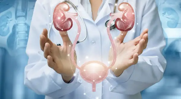 Urolog: Kiedy iść? Objawy, choroby, wizyta i profilaktyka.