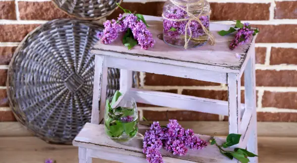 DIY Lawenda: Od zbioru po gotowe dekoracje Twój przewodnik