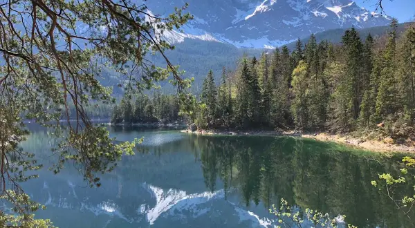 Spiegelglatter See mit Bergpanorama in den bayerischen Alpen. Nadelbäume säumen das Ufer, im Hintergrund ragen schneebedeckte Gipfel auf.
