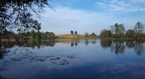Spokojne jezioro Bachotek odbija błękitne niebo z chmurami. Na brzegu rosną drzewa i trzciny, a w oddali widać pofałdowane pola.