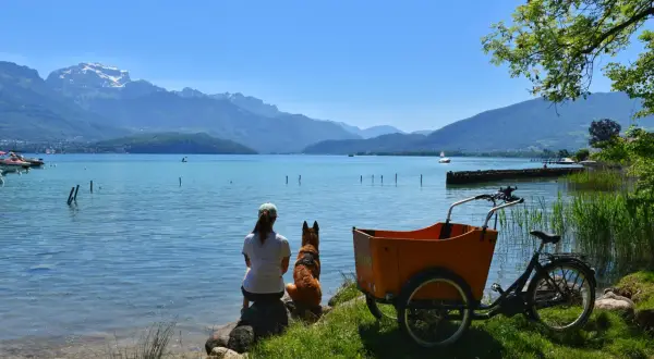 Journée paisible au lac Annecy, où un chien est autorisé à profiter de la vue avec sa maîtresse.