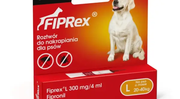 Najlepsza ochrona przed kleszczami dla psa: Tabletki, obroża czy krople?
