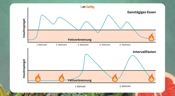 Grafik zeigt Insulinspiegel bei ganztägigem Essen vs. Intervallfasten. Längere Phasen ohne Essen fördern die Fettverbrennung.
