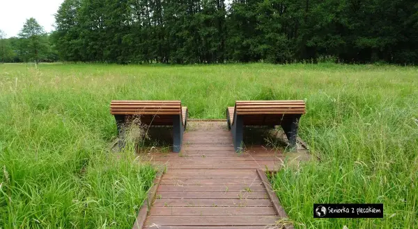 Drewniana ścieżka prowadzi do ławek pośród łąki. Idealne miejsce na relaks i odkrywanie nałęczów atrakcji na weekend.