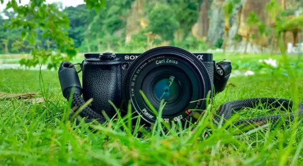 Jaki aparat do fotografowania zwierząt? Wybór sprzętu dla każdego!