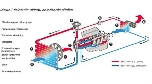 Jak działa chłodnica - zrozumienie jej mechanizmów i funkcji