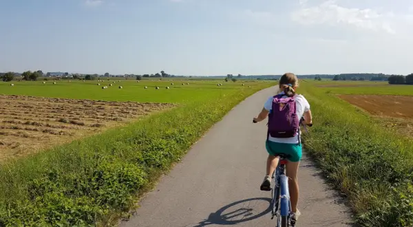 Trasa rowerowa Niepołomice: najlepsze szlaki dla każdego rowerzysty