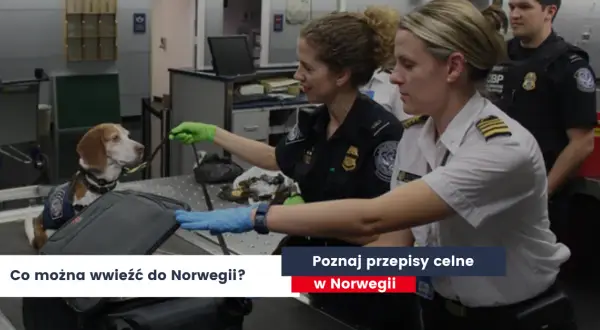 Co można przewieźć w bagażu podręcznym do Norwegii? Ważne zasady