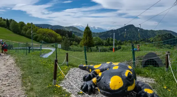 Pieniny: Bacówka pod Trzema Koronami czy to idealna baza wypadowa?