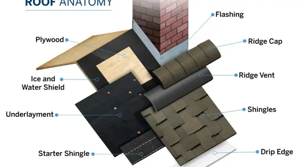 Diagram showing roof anatomy, detailing layers like plywood, underlayment, and what is a shingle roof, with labels for flashing, ridge cap, and drip edge.