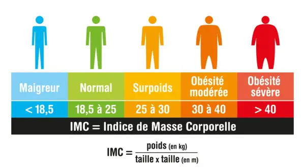 Tableau IMC : pour 1m58, le poids idéal se situe entre 45 et 61 kg pour une corpulence normale.