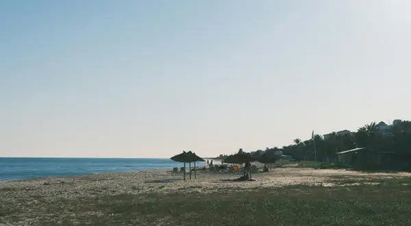 Spokojne tunezyjskie plaże z trawianymi parasolami i palmami w tle. Idealne miejsce na relaks.