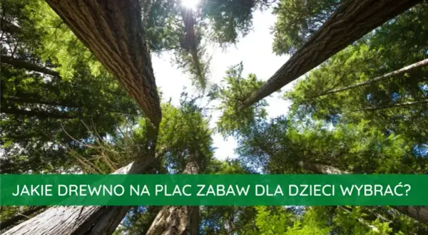 Jakie drewno na plac zabaw - wybierz najlepsze gatunki dla bezpieczeństwa