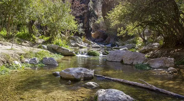 Un arroyo sereno fluye entre rocas y vegetación exuberante, formando pequeños saltos de agua. Los **canales de Padules** ofrecen un paisaje natural y refrescante.