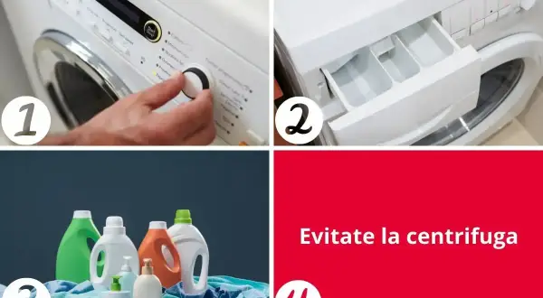 Guida per come lavare i plaid in lavatrice: imposta il programma, aggiungi il detersivo, usa prodotti delicati e evita la centrifuga.