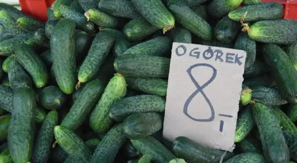 Ile kalorii mają ogórki? Zaskakujące różnice między rodzajami