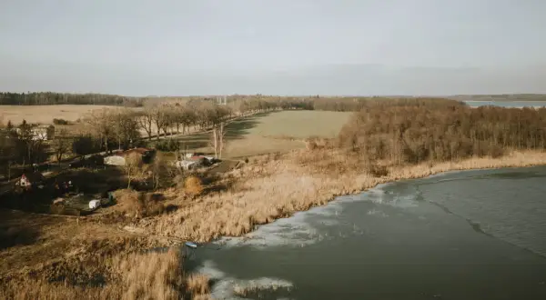 Zimowy krajobraz nad jeziorem Pniewy. Lód pokrywa część wody, a trzciny szumią na brzegu. W oddali widać las i pola.