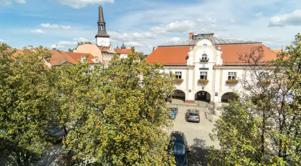 Najlepsze atrakcje w Jarocinie, które musisz zobaczyć z rodziną
