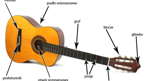 Anatomia gitary: pudło rezonansowe, gryf, mostek, podstrunniki, progi, siodełko, klucze i główkę.