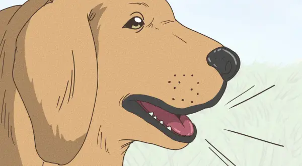 Un perro marrón con la boca abierta, quizás explicando porque suspiran los perros.